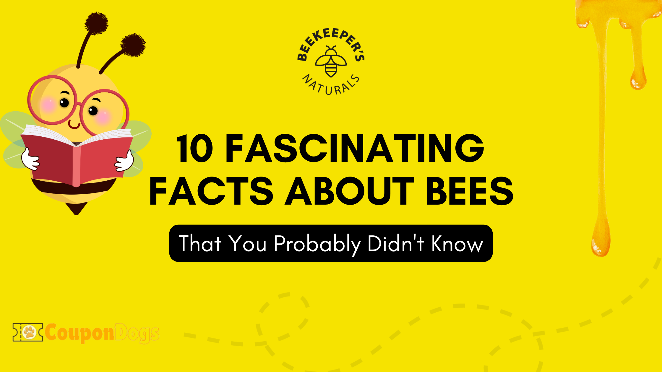 10 Fascinating Facts About Bees That You Probably Didn’t Know