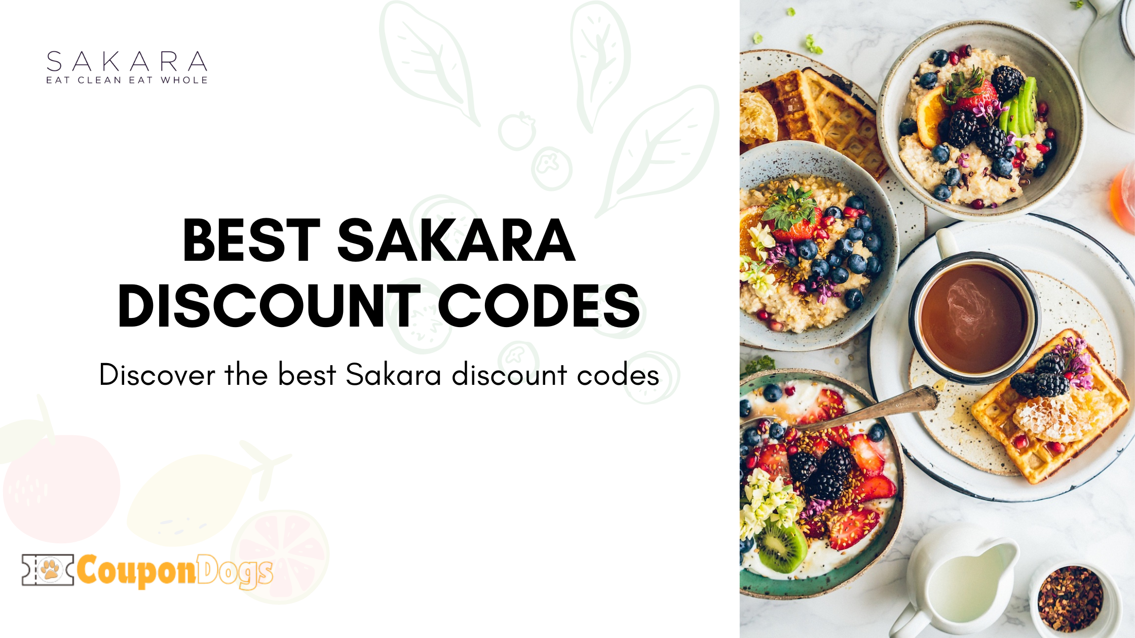 Best Sakara Discount Codes: Save on Premium Meal Delivery And Wellness products