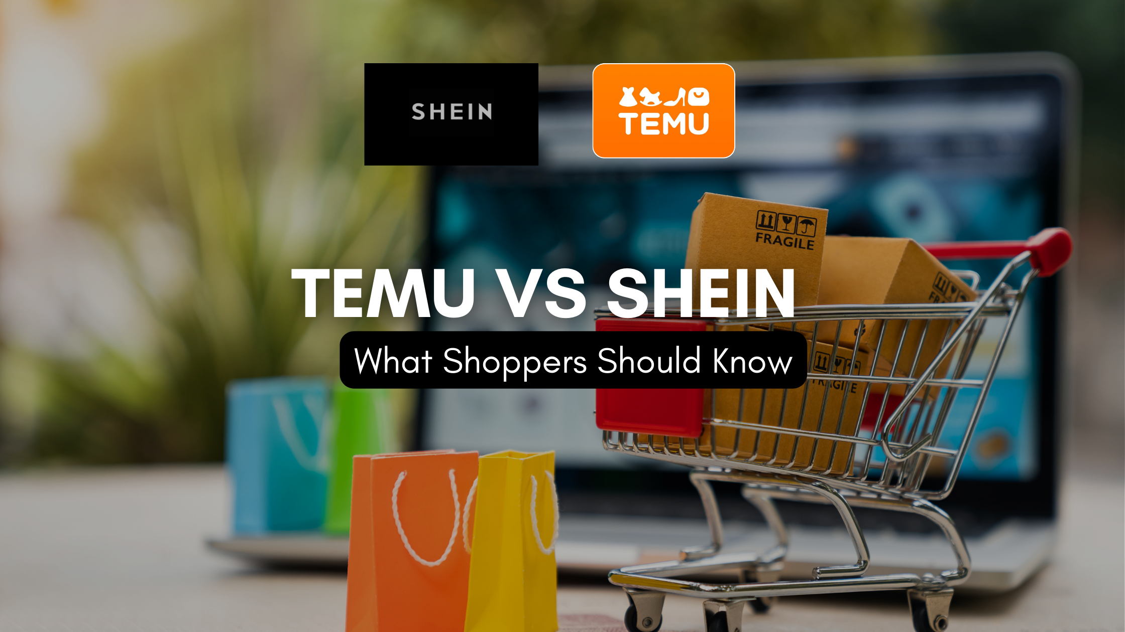 Temu vs Shein: Which Online Shopping Giant Reigns Supreme?