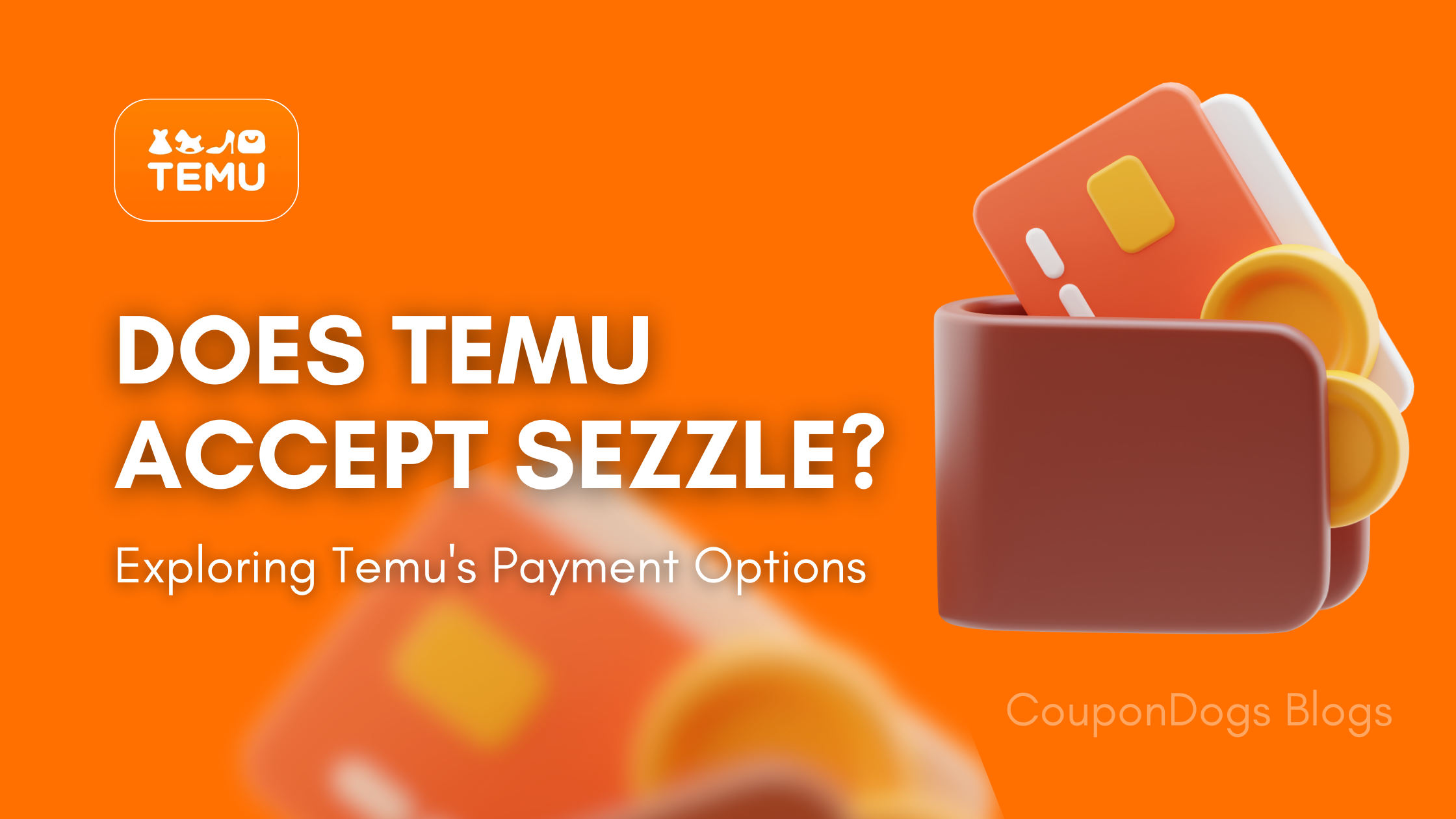 Does Temu Accept Sezzle? Exploring Temu’s Payment Options and More